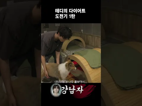 테디의 다이어트 도전기 1탄