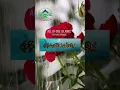 Download Lagu Surah At takwir | All in One Islamic | #fyp #trending #qurandaily #altakwir