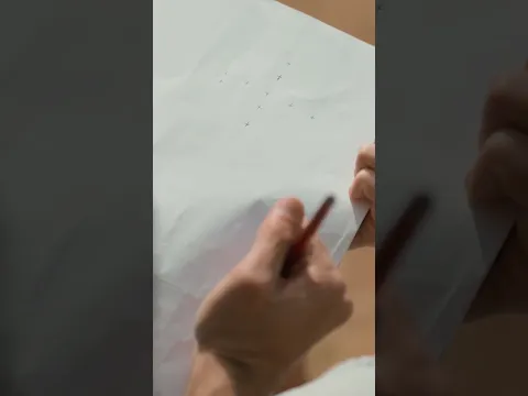 Drawing to real Dragonfly, Editing breakdown.