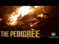 Understanding the Pit island s Red boy Jocko dogs Thug and Thor