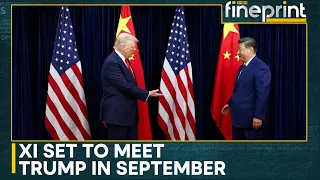 US-Iran War: US Is Dependent On China's Supply Of Critical Minerals | WION Fineprint