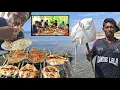 Download Lagu Hari ke 20 di Pulau Terpencil BERBURU IKAN BERBISA \u0026 MEMATIKAN BUAT MAKAN SIANG