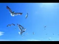 God Is an Astronaut - Forever Lost (Reprise)