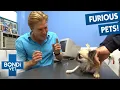 The Most DANGEROUS Patients At The Bondi Vet Clinic