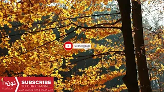 رنة نغمة دعاء سعد الغامدي رنات نغمات إسلامية للموبايل للهاتف 