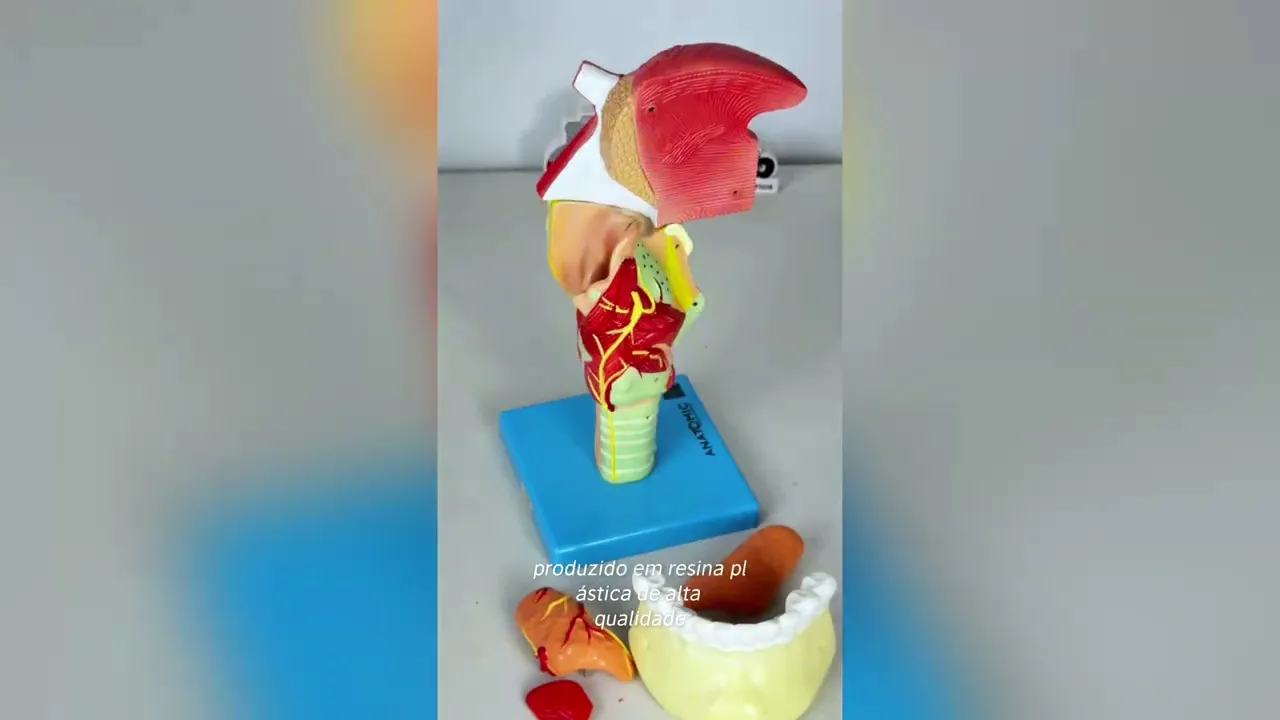 Vídeo prolab