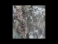 Download Lagu Loris Cericola - Metaphysical Graffiti (Full Album) [2022]