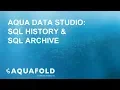 Aqua Data Studio - SQL History SQL Archive