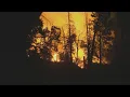 Firefighters slow growth of Oak Fire after explosive weekend