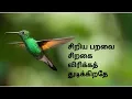 Download Lagu Siriya Paravai Song by S. Janaki and S. P. Balasubrahmanyam