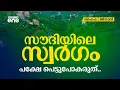 Download Lagu ഖാത്ത് ഇലകൾ അടക്കി വാഴുന്ന ഫൈഫ കൊടുമുടി; | Fayfa Mountains in Jizan | Saudi Story Archive