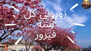 زوروني كل  سنة مرة    فيروز                                     مع ازهار الكرز   دندنها