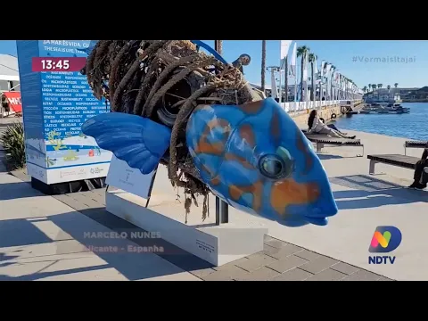 The Ocean Race: escultura de peixe é construída com resíduos tirados do mar