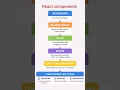 React Rendering Lifecycle Explained State vs Props in React