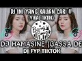 Download Lagu DJ HAMASINE LO DI MAMA LO BABA || DJ VIRAL TIKTOK 2021
