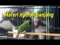 Download Lagu cucak ijo rasa pijantung ngeroll panjang