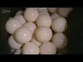 The Mysteries of Earth's Largest Ocean | Big Pacific | Full Episode 1 | PBS