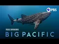 The Mysteries of Earth s Largest Ocean Big Pacific Full Episode 1 PBS