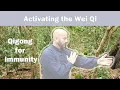 Qigong for Immunity ☯💪: Activating The Wei Qi - 10 minute Qigong Practice