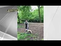 Woman Fired After Viral Central Park Confrontation NBC New York