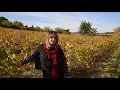 Download Lagu Mas Farchat - Helene Jougla - AOC Pézenas