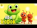 Lagu Lagu Anak Anak - Ada Kodok Rekotok Rekotok 🐸🎶- Lagu Anak \u0026 Balita Terbaru Sangat Viral Terpopuler