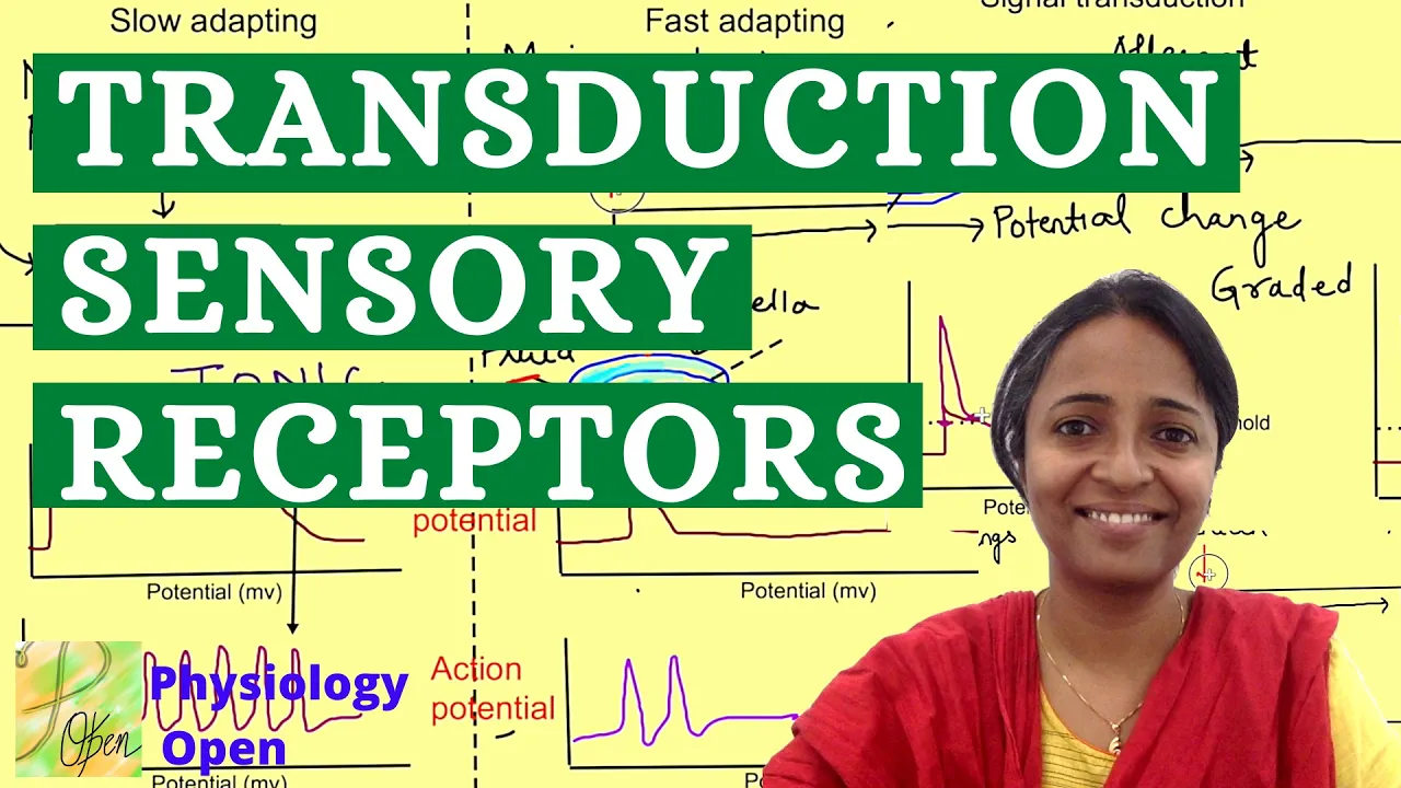 Sensory transduction | Sensory Physiology mbbs 1st year lectures | CNS Physiology