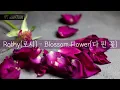 Lyrics [ENG/KOR] Rothy(로시) - Blossom Flower(다 핀 꽃)