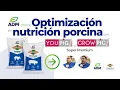Con Youpig y Growpig Super Premium ADM ofrece optimizacion en nutricion porcina