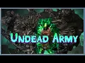 Grim Dawn Build Guide - Necromancer Shaman Pet Build part 1