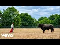 Asake - MCBH (Official Video)
