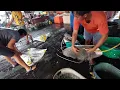 Download Lagu bongkar ikan pari .banyak...
