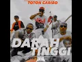 Download Lagu Toton Caribo - Darah Tinggi x Kapala Malawang (Fendysrgr Edit)