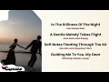 YOU’RE MY ONLY ONE - ZOE | EASY LYRIC DAN TERJEMAHAN