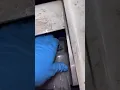 ThermoKing Reefer Code 37