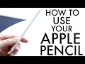 How To Use Your Apple Pencil Complete Beginners Guide
