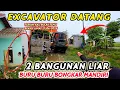 Download Lagu TERKINI UPDATE BONGKAR MANDIRI LAGI BANGUNAN LIAR \u0026 PENGERUKAN KALI BULAK TEMU BEKASI LUAR BIASA🤦‍♂️