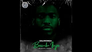 daliwonga bambinja feat mdu aka trp u0026 bongza amapiano