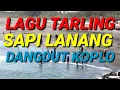 Download Lagu LAGU TARLING SAPI LANANG DANGDUT KOPLO