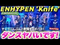 Lagu ダンスも見ます！！！！Knife - ENHYPEN (엔하이픈) [뮤직뱅크/Music Bank]