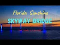 Florida Sunshine Skyway Bridge How i Spent my Saturday St Petersburg Florida