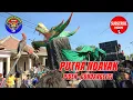 Lagu KALAPAN MASAL PUTRA NDAYAK DI PIDEK, GONDANGLEGI