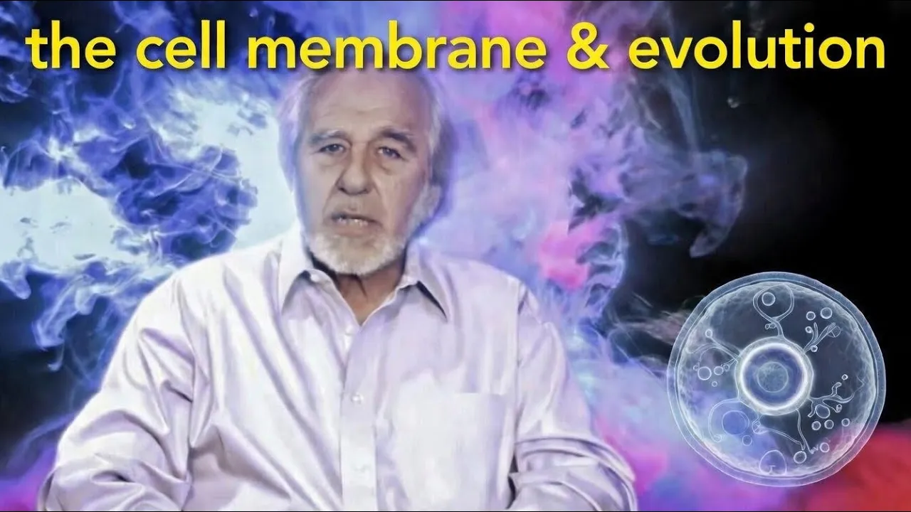 The Cell is a Computer