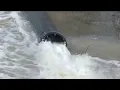 DC Water repairs Potomac Interceptor returning flow to pipe after sewage spill NBC4 Washington