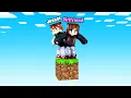 Minecraft BUT it s ONLY 1 BLOCK w My GirlFriend