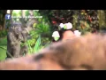 Download Lagu Siti Badriah - Suamiku Kawin Lagi - Official Music Video HD - Nagaswara