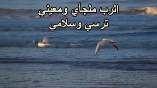 الرب صخرتي وولي فيليب ويصا 