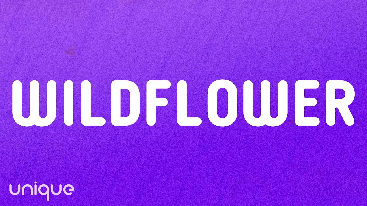 Billie Eilish - WILDFLOWER (Lyrics) Billie Eilish - WILDFLOWER (Lyrics)