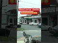 Charlotte NC The City Of Neglect