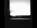 reversal - dr. niar